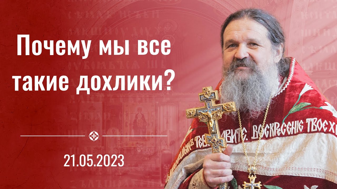 «Почему мы все такие дохлики?». Проповедь о. Андрея Лемешонка 21.05.2023