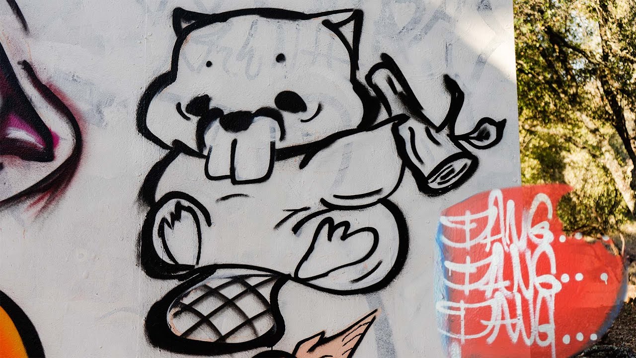 First attempt with DANG Spray paint - Line Beaver