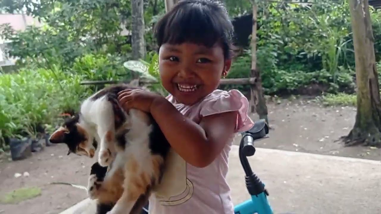 Bermain Sama Kucing yang Lucu /Playing with Cat 