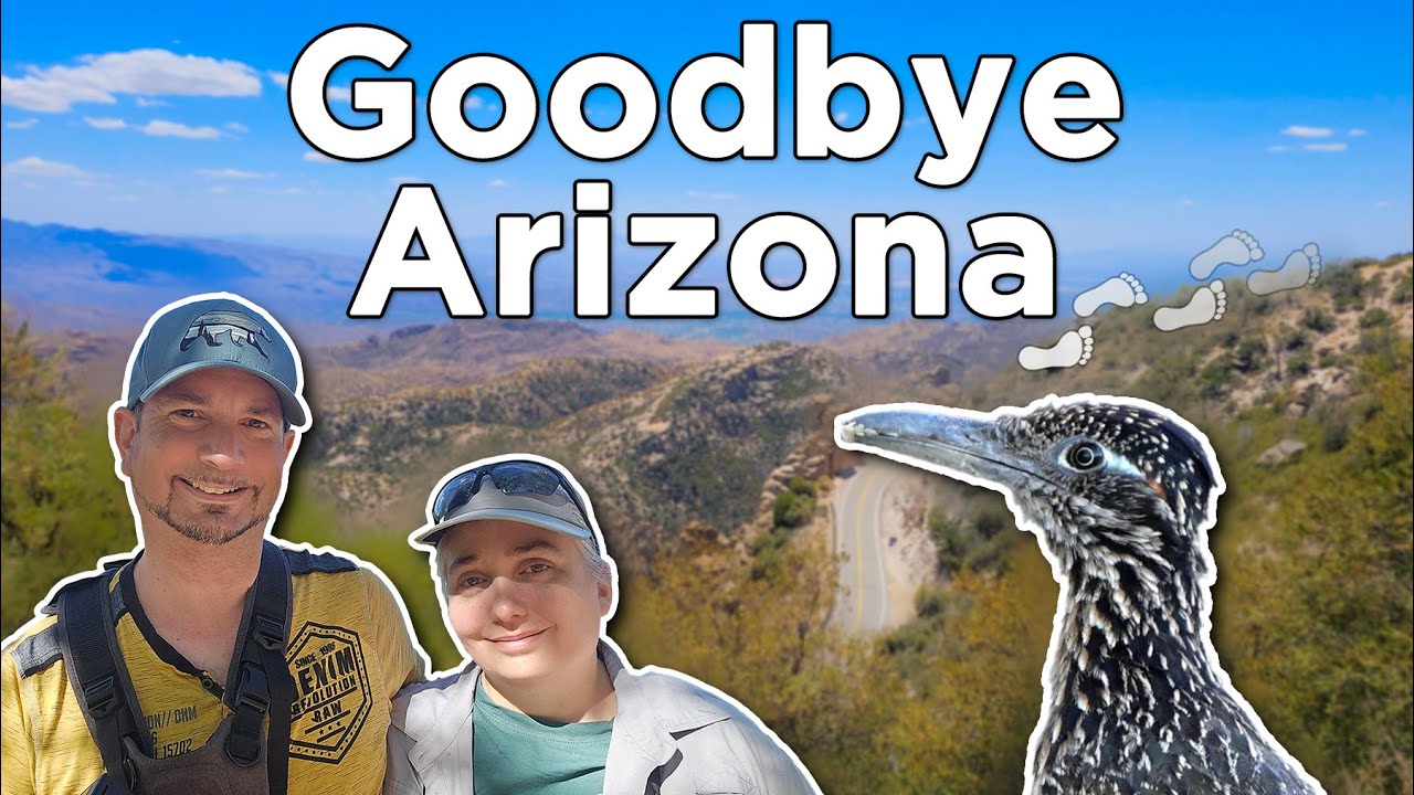 Birding Tucson | Final Arizona Video | Mount Lemmon, Sweetwater, Saguaro NP