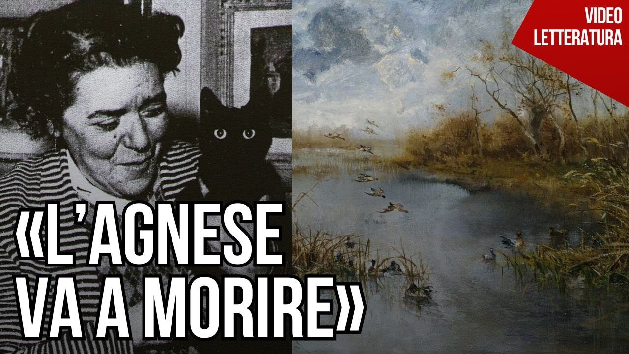 Renata Viganò - L'Agnese va a morire