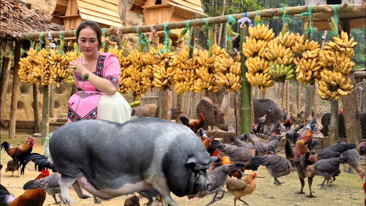 Touching Love Story : Vang Hoa Waiting for Sick Lover to Return – A Lifetime Promise !