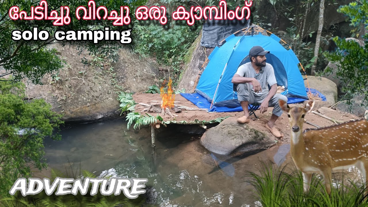 പേടിച്ചു വിറച്ചു ഒരു ക്യാമ്പിംഗ്  adventure camping malayalam #wayanadcamping