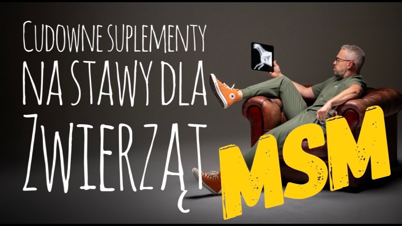 MSM &ndash; siarka, kt&oacute;ra &bdquo;naprawia stawy&rdquo;? Sprawdźmy.