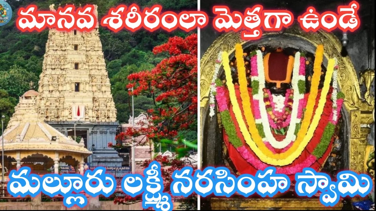 మల్లూరు హేమాచల లక్ష్మీ నరసింహ స్వామి టెంపుల్ Full vlog # MULUGU# ETURNAGARAM#తెలుగు