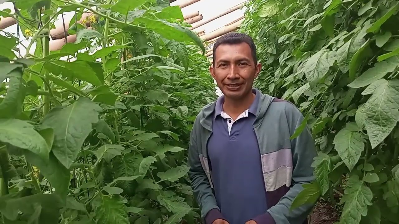 EXPERIENCIAS AGRÍCOLAS