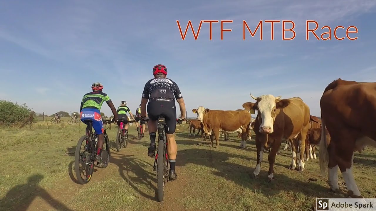 WTF MTB Challenge Powered by #QBike 80Km