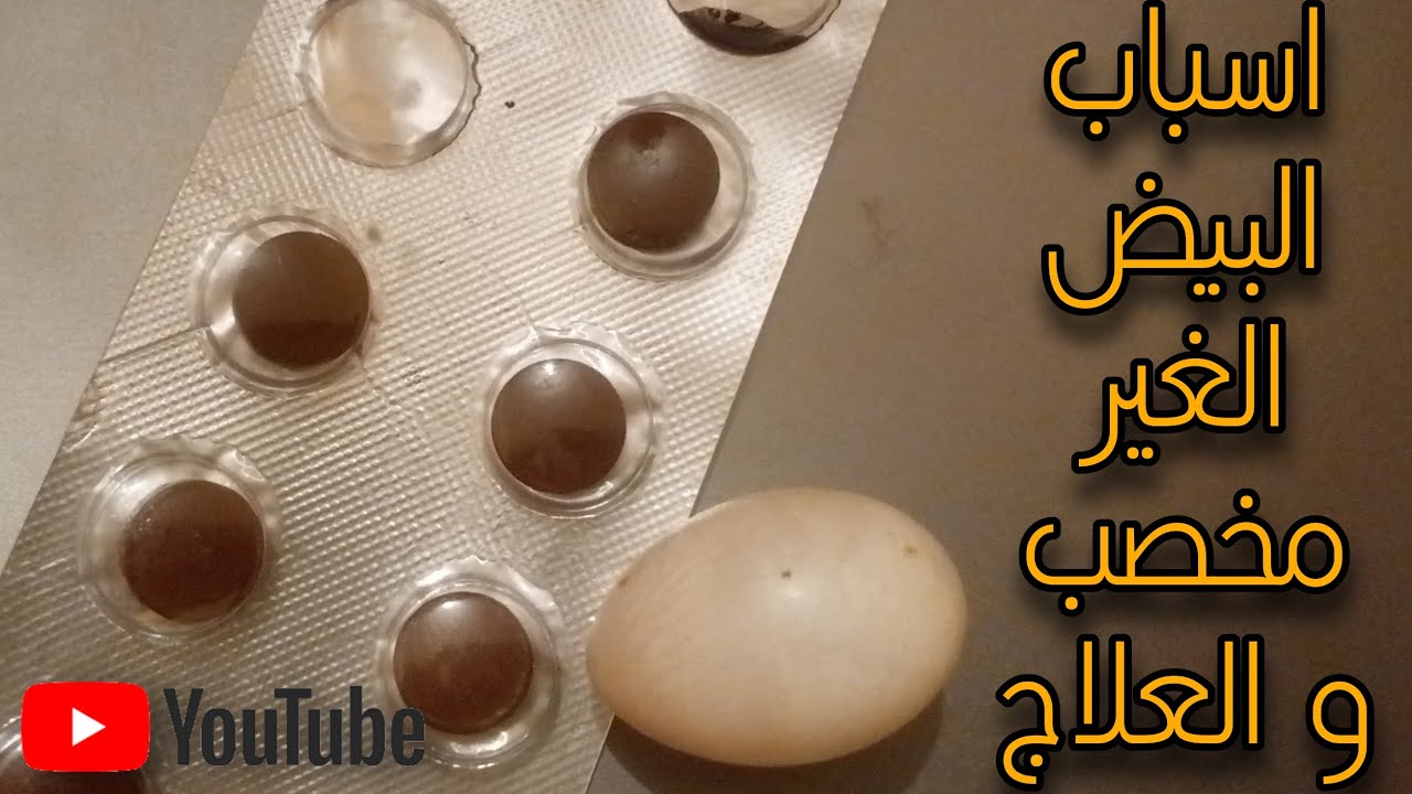 افضل علاج للبيض الغير مخصب