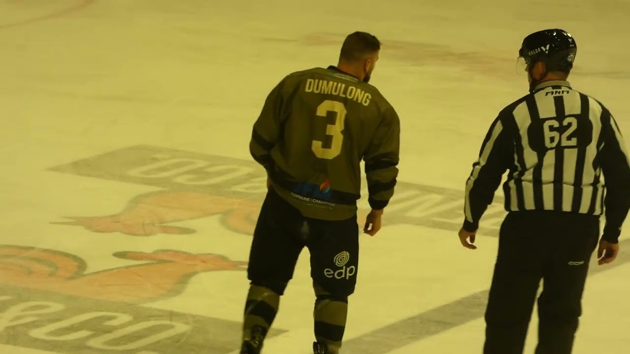 LNAH  Melee Nicolas Dumulong Patrick Bordeleau et Danyck Calgaro