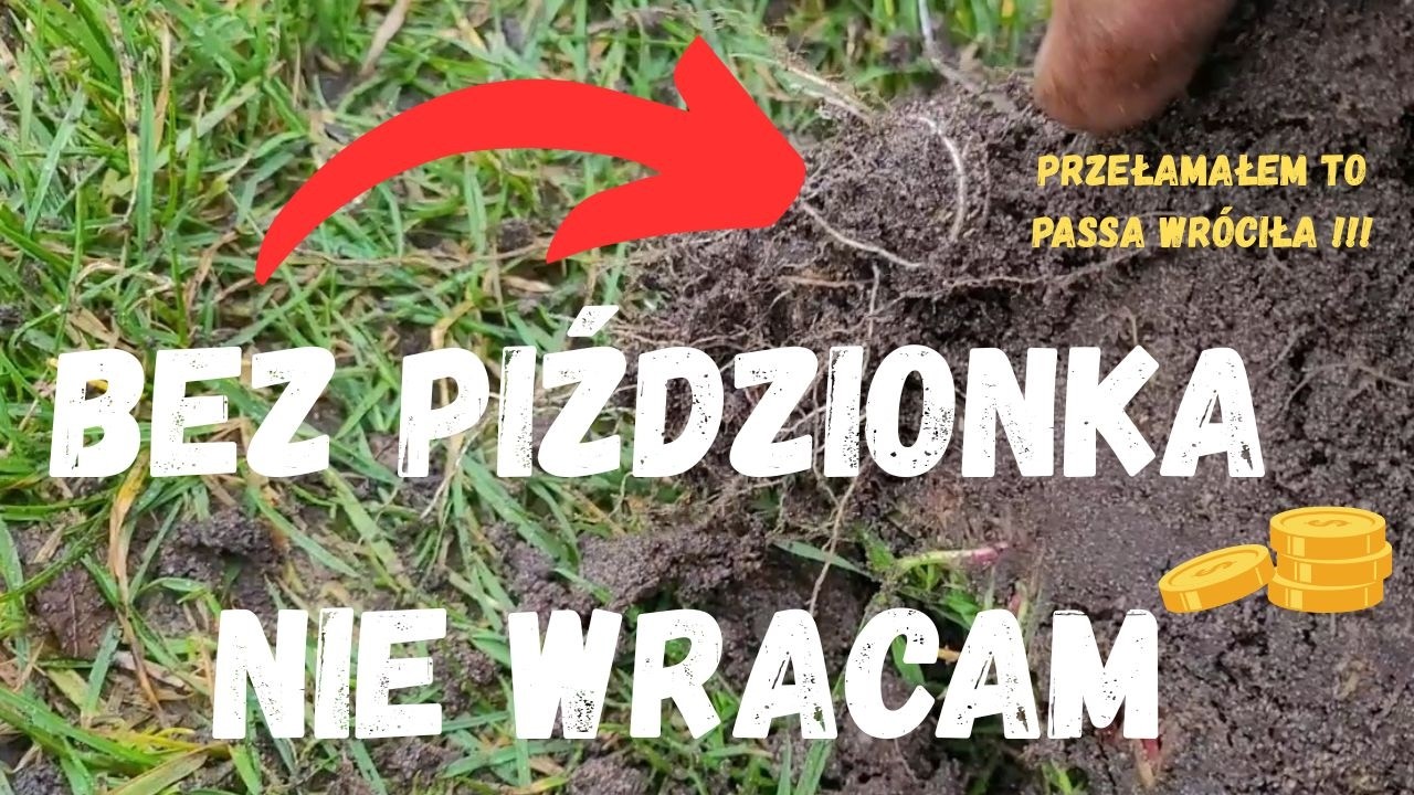 Это было замечательное место!!! Горстка монет и серебряная монета. Я больше туда не вернусь без п...
