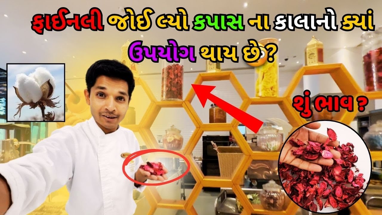 જોઈ લ્યો કપાસ ના કાલા નો ઉપયોગ ક્યાં થાય છે , ભાવ તો જોવો આટલા મોંઘા આવે છે અહિયા || KAPAS NA KALA 😱