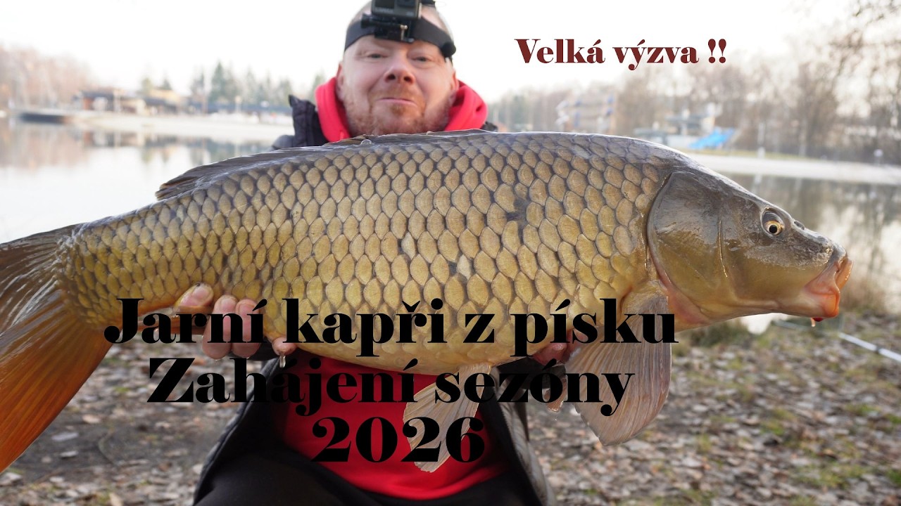 Lov kaprů-Jarní kapři z pískovny