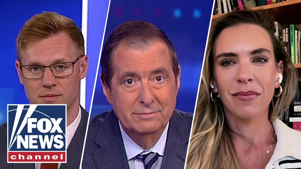 Strategist slams 'inappropriate' Musk, Trump feud