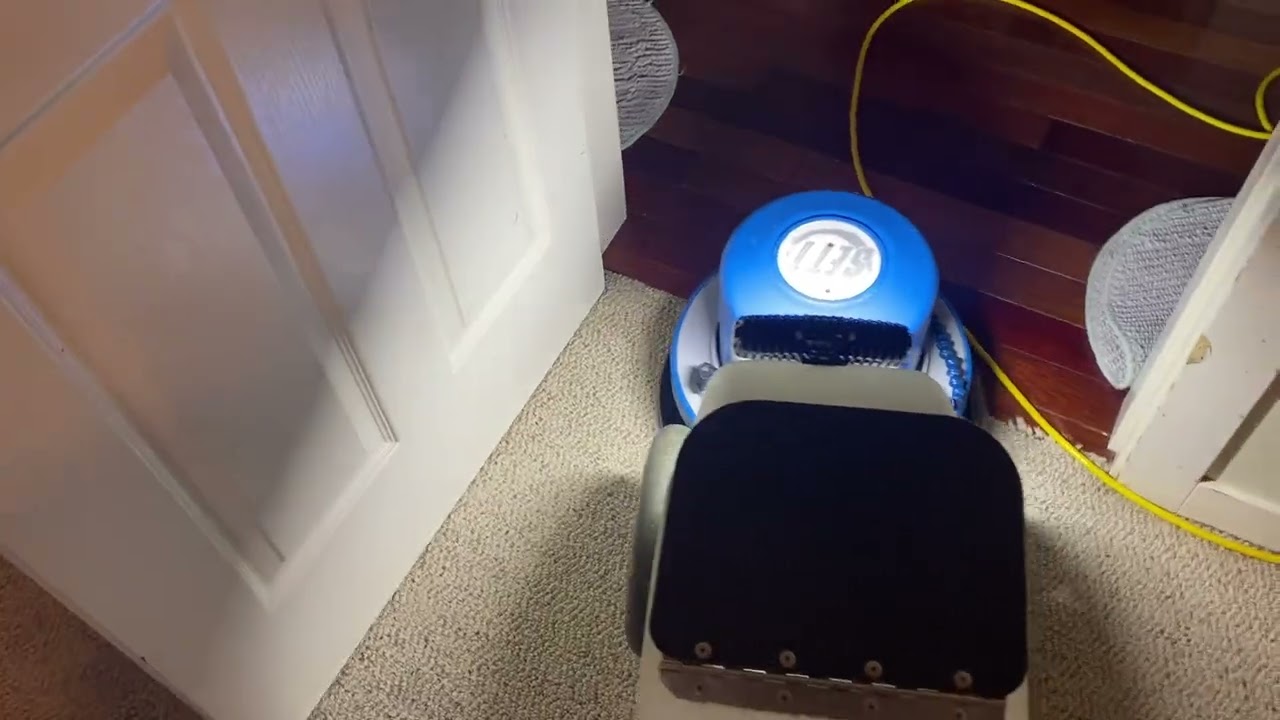 Oxy-Dry restoring urine soaked carpet with the SETT/ULM method