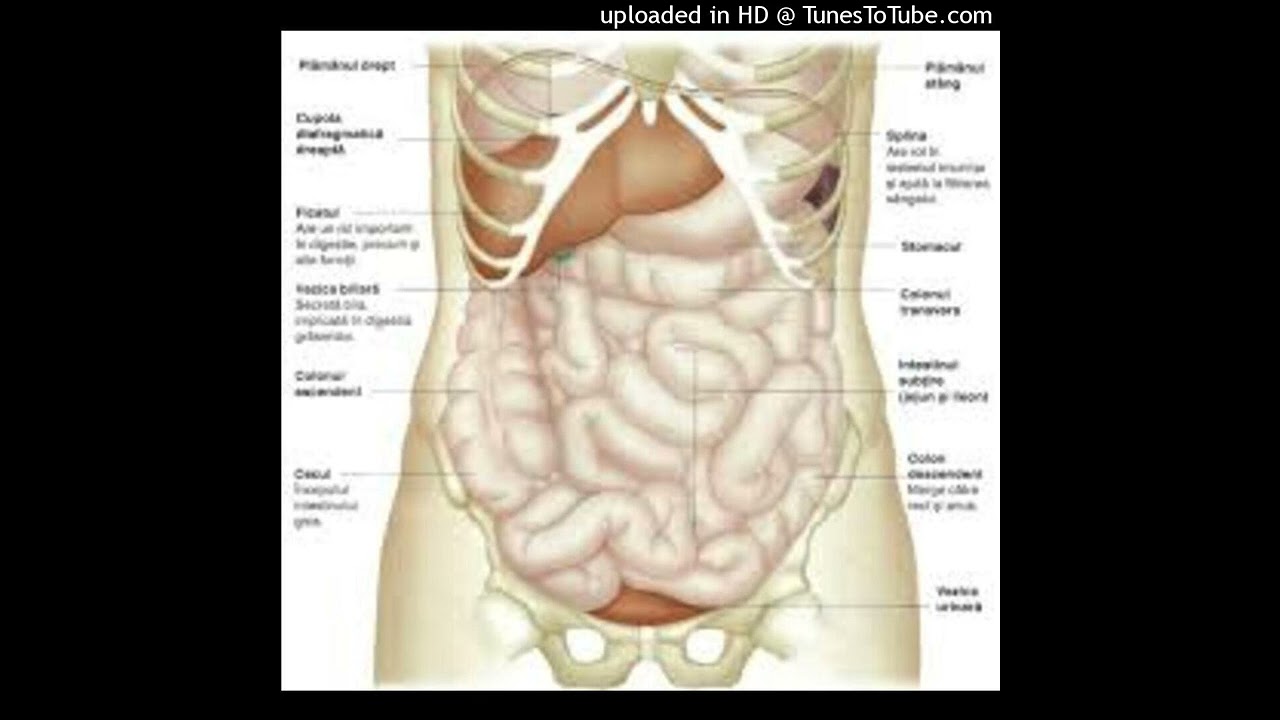 Deficiența de biotină (vitamina H sau vitamina B7), tot ce trebuie să știi