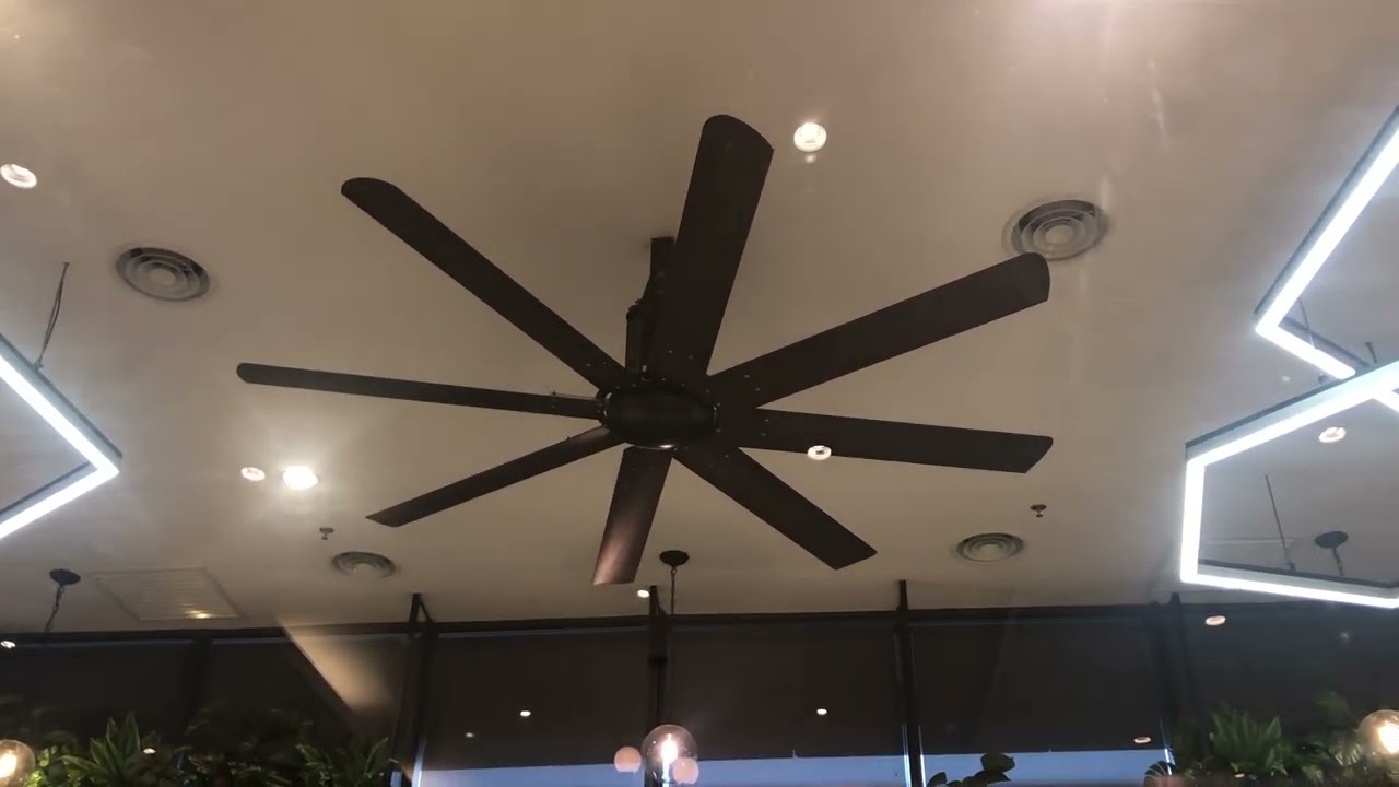 Big Ceiling Fan In Chinese Food the Starling