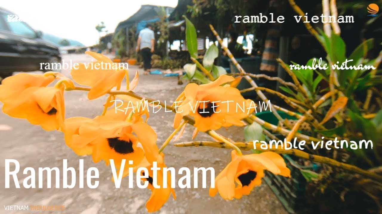 Ramble Vietnam [4k] - mai chau vietnam, vietnamese culture,  things to do in vietnam