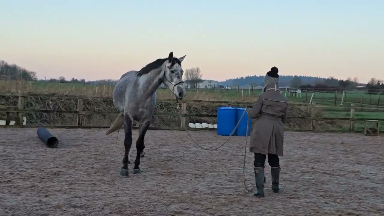  Charlotte Dicker & KL Mac Cloud (Earl). Parelli Level 1 Audition. 14th February, 2026