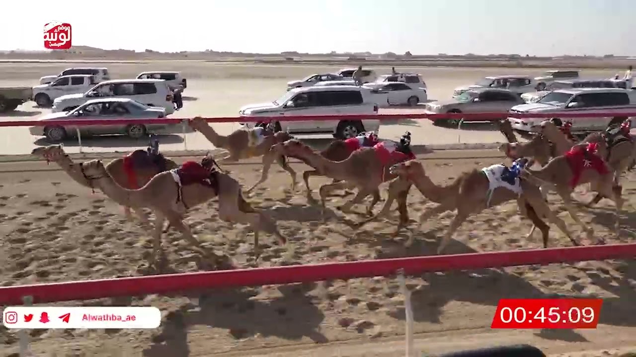ش 1 (تغريد) لـ خالد عثمان احمد 2:20:96 ، شارة الصندوق 2026/02/13 فطامين الوثبة