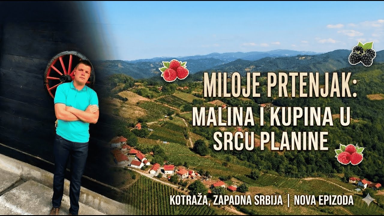 ZAPADNA SRBIJA ODUZIMA DAH: Domaćinska priča iz Kotraže o trudu i tradiciji 🏞️