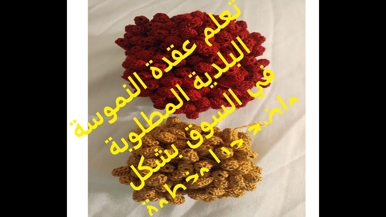 تعلم عقدة النموسة البلدية المطلوبة في السوق بشكل واضح جدا وخطوة بخطوة
