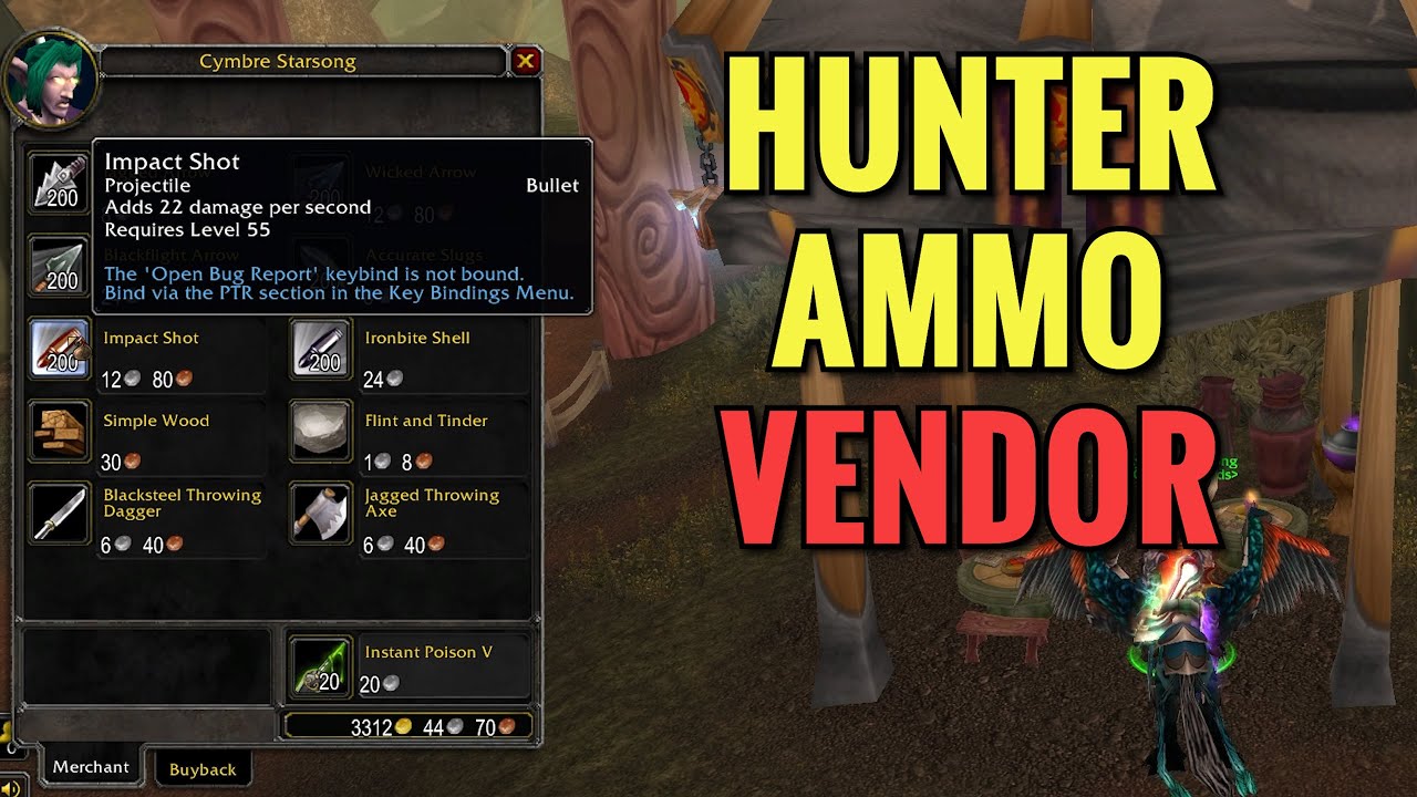 Evergrove Hunter Ammo Vendor (WoW TBC)
