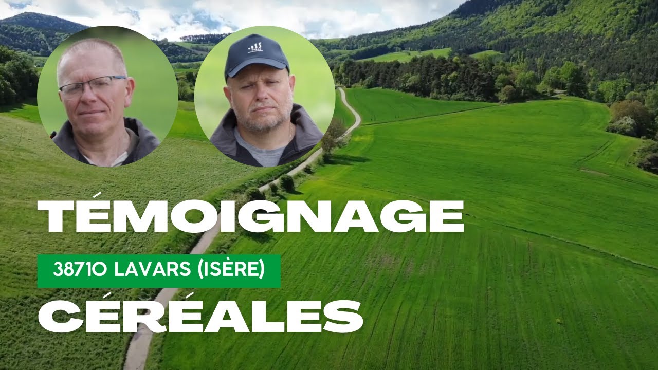 🌾 Blé et Luzerne : Sols Revitalisés et Rendements Accrus avec SOBAC | Ferme Terrier Frères 🚜