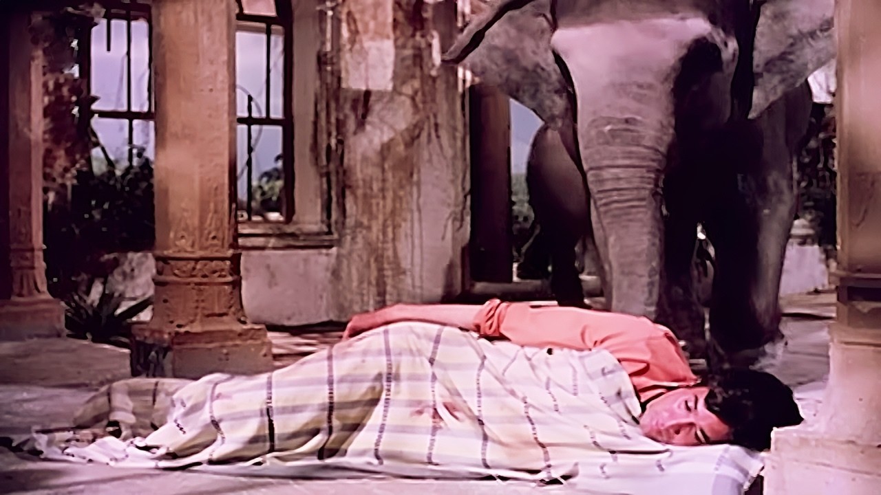 Rajesh Khanna के लिए हाथियों ने Dr. को पकड़ के लाया : हिंदी दर्द भरा सीन | Haathi Mere Saathi