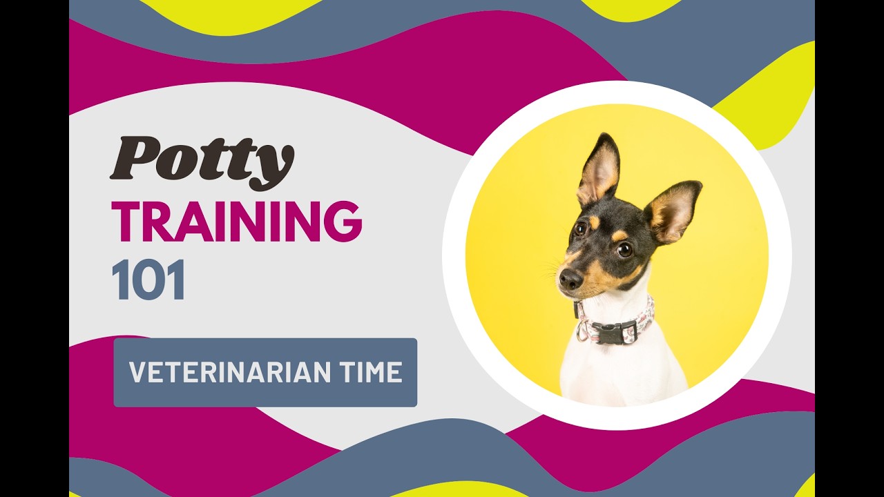 Все еще испытываете трудности? Пора обратиться к ветеринару.