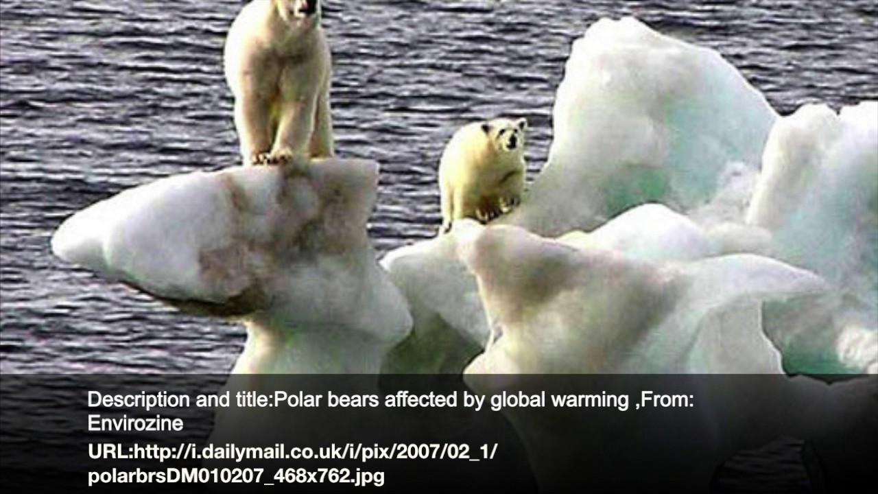 Science documentary Cryosphere and Biosphere