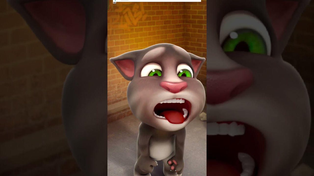 Funny tom video 🤣🤣 #talkingangela2newupdate2023 #funnyvideo