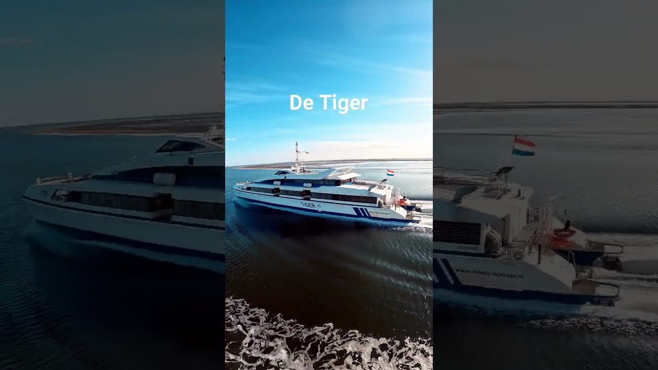 #DeTiger #RederijDoeksen #boat   #drivebyboat