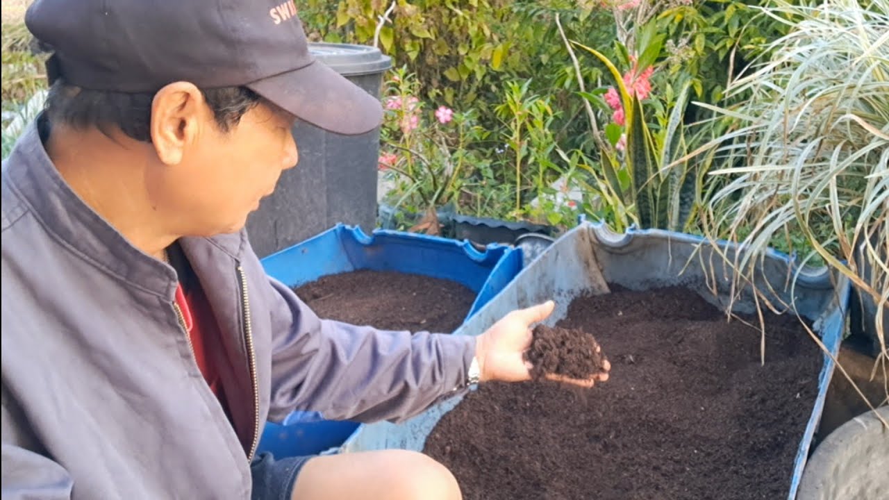 ปัจจัยที่ส่งผลต่อคุณภาพของปุ๋ยหมักมีหยังแหน่ ?