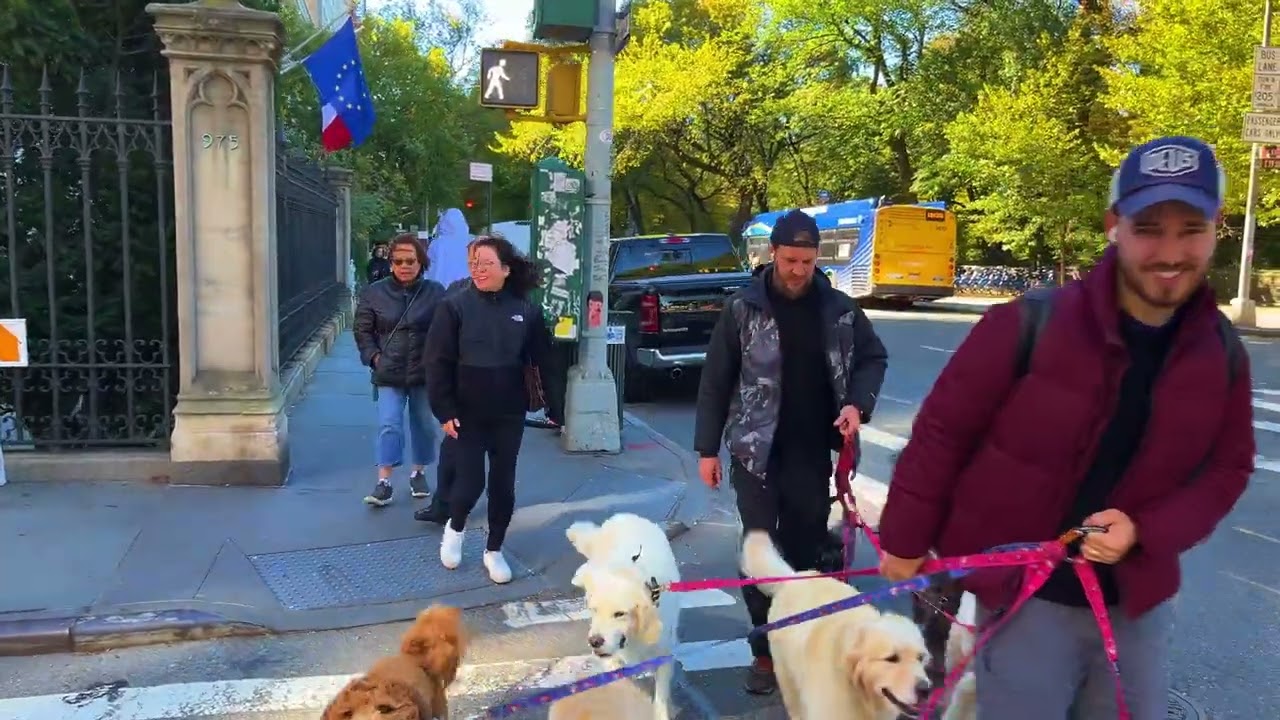 Fifth Avenue NYC 4K Walk in Spectacular Stroll in Manhattan's Heart