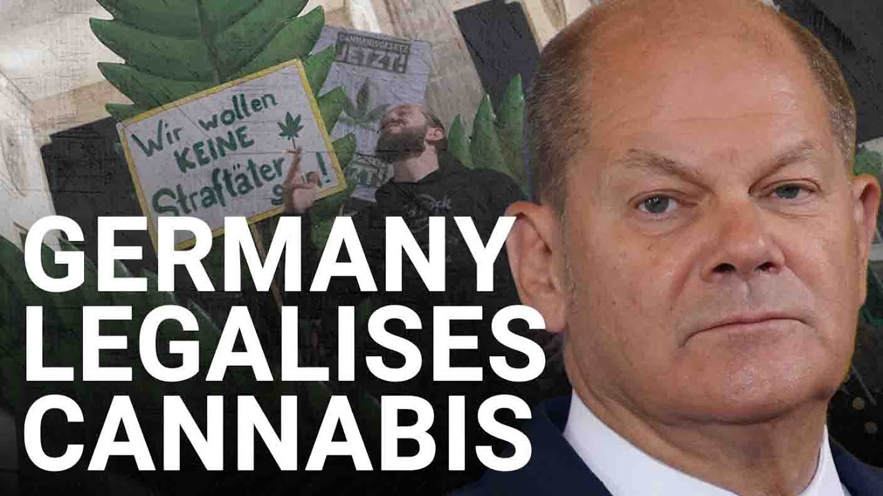 Legalising cannabis ‘redresses a historic wrong’ | Professor David Nutt