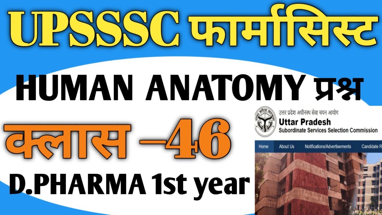 #upssscpharmacist UPSSSC PHARMACIST मुख्य परीक्षा क्लास 46 URINARY SYSTEM questions #pharmacist 