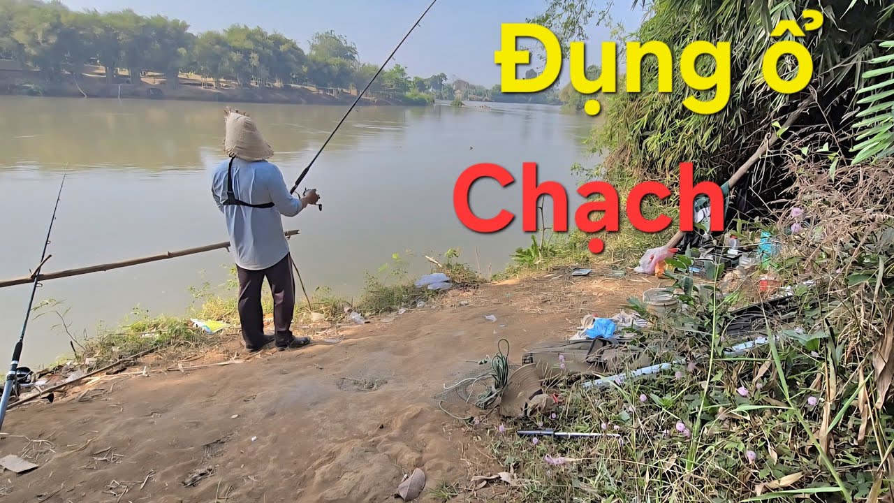 Câu  cá sông  Bé  lội bộ 500m  đường  mòm , đụng  ổ chạch.