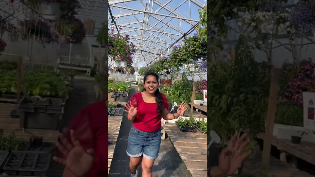 Lester's Farm Market part 2 