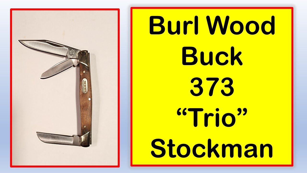 The Buck 373 Trio With Burlwood Inlays @terrysknivesandmanstuff