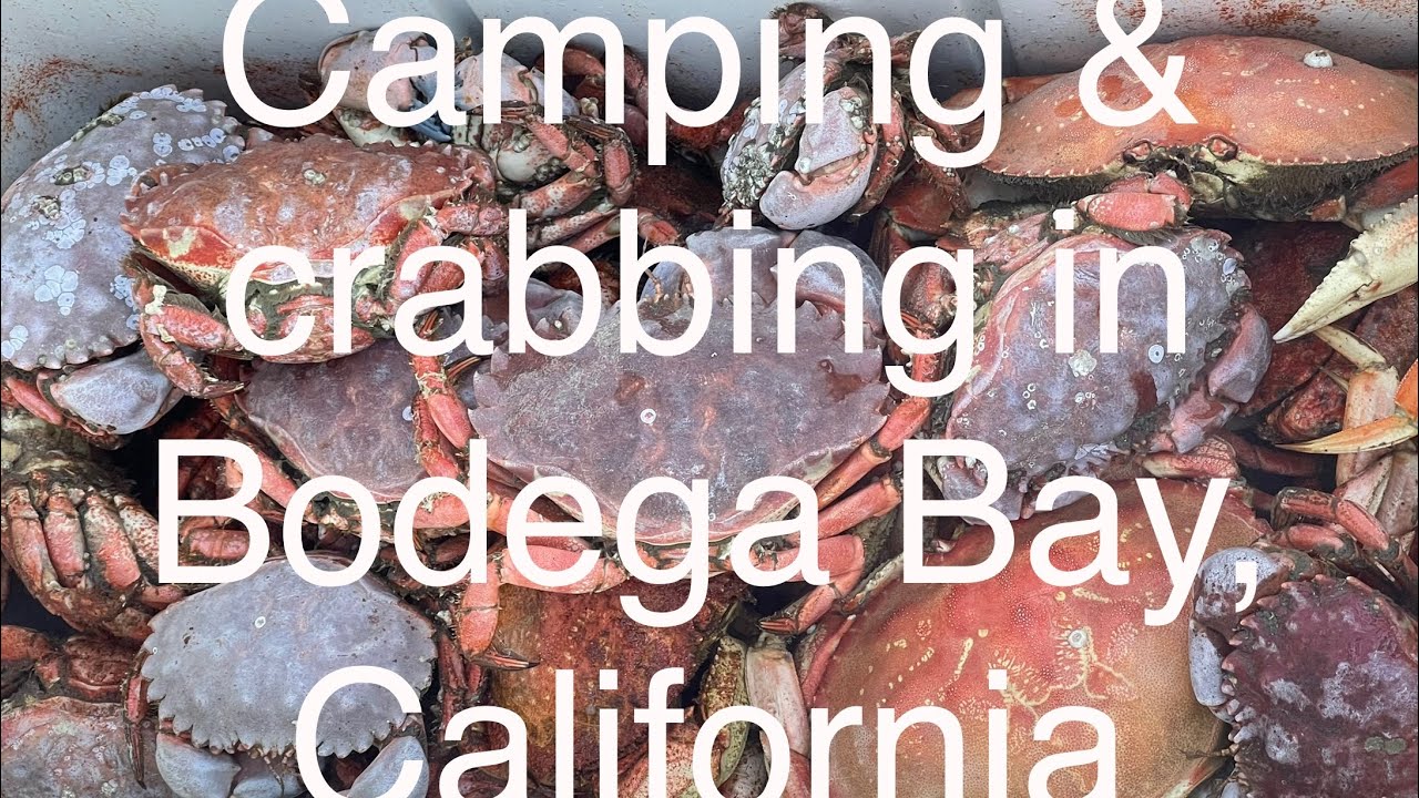 Camping & crabbing in Bodega Bay, California