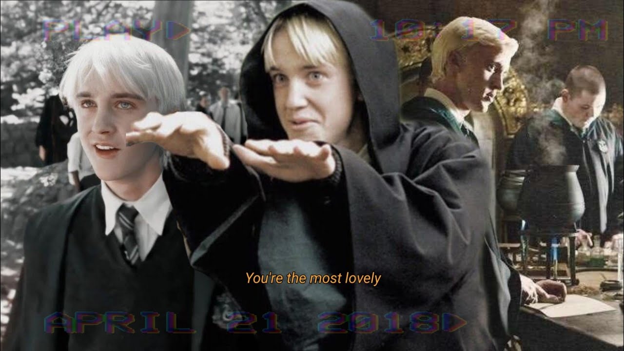 random y/n and draco malfoy tiktoks pt.2 | draco tok