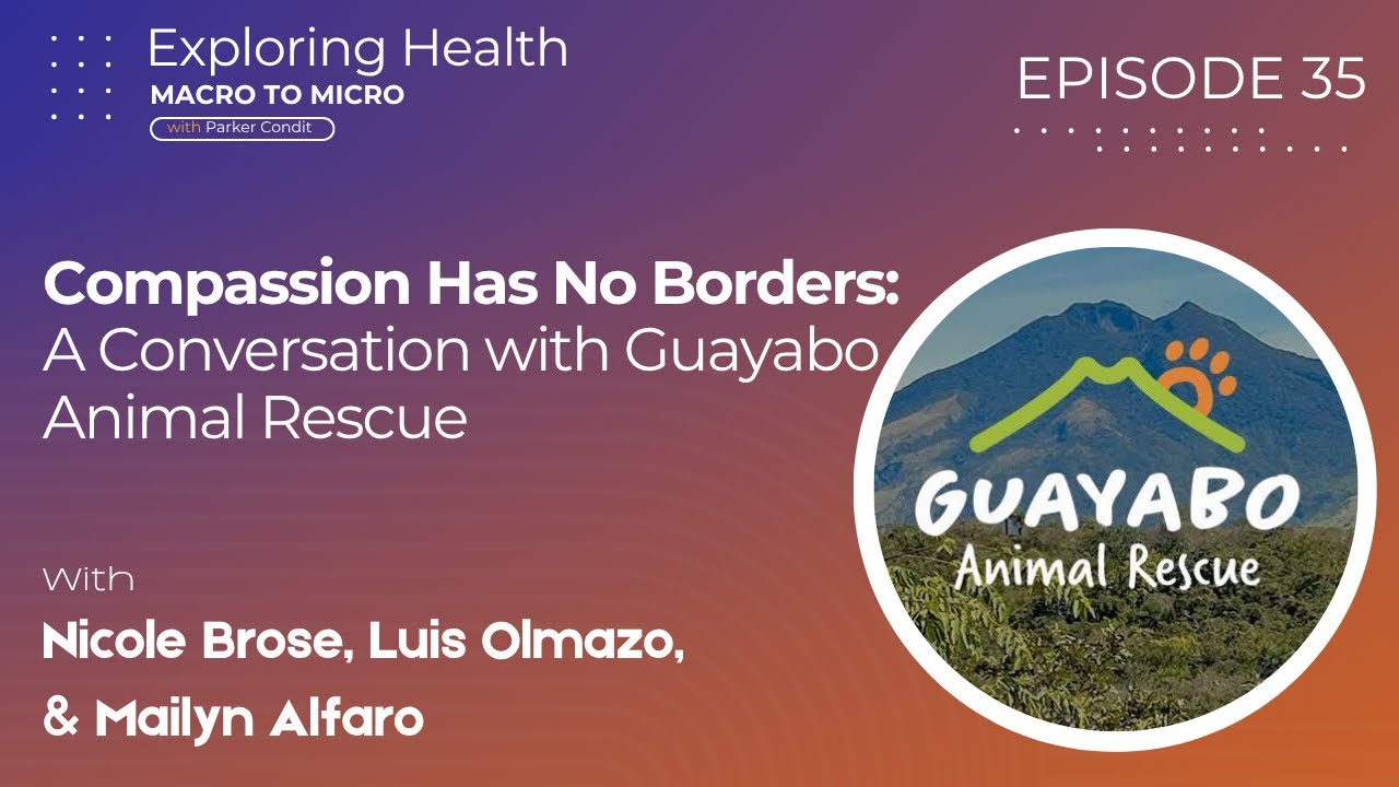 Compassion Has No Borders - A Conversation with Guayabo Animal Rescue | Nicole Brose | #35