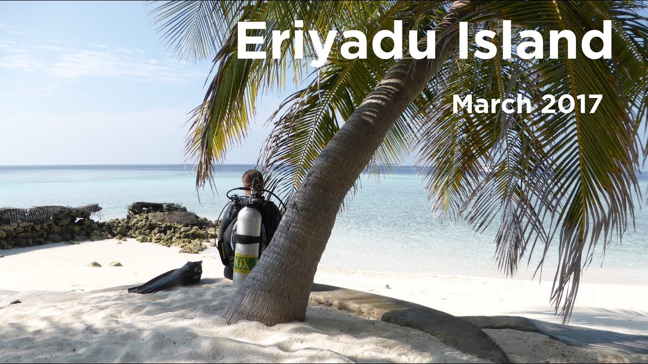 Diving Eriyadu Island, Maldives