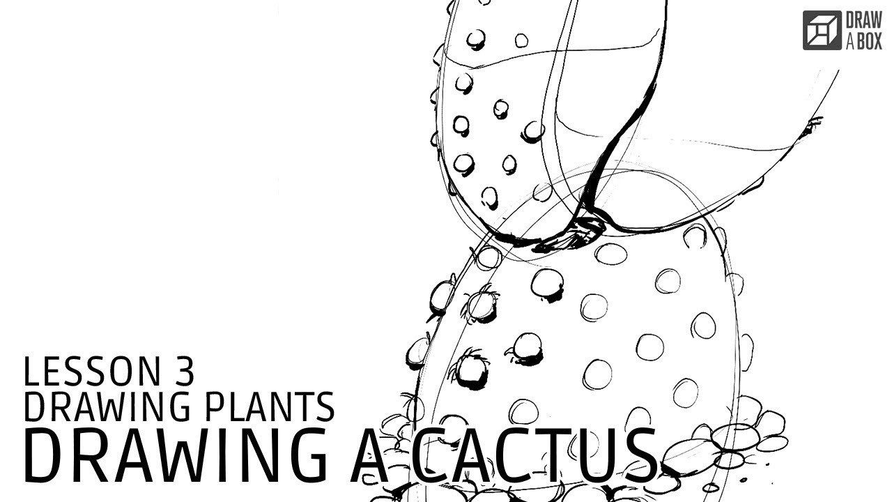 Drawabox Lesson 3, Drawing Plants: Drawing a Cactus