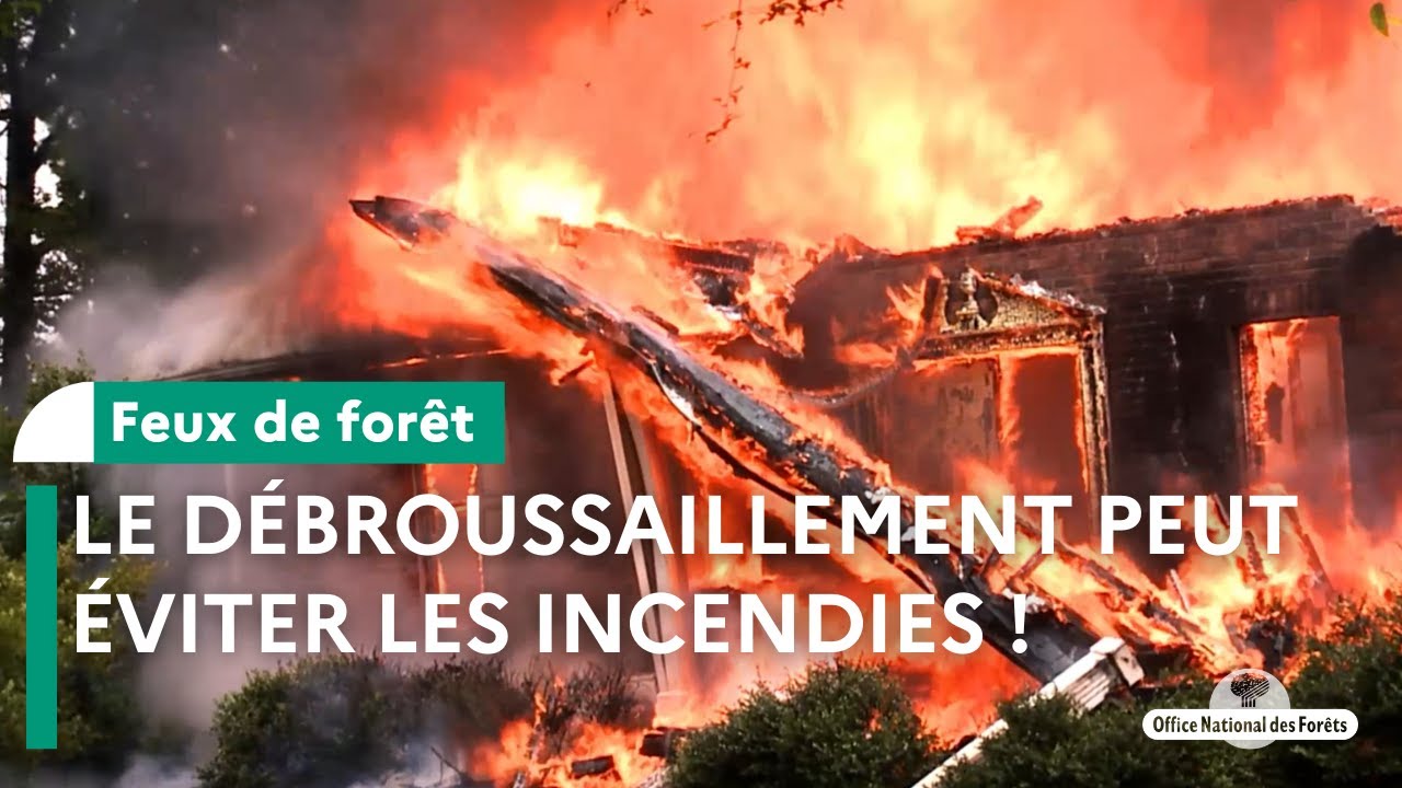Pour éviter les feux de forêt, débroussaillez !