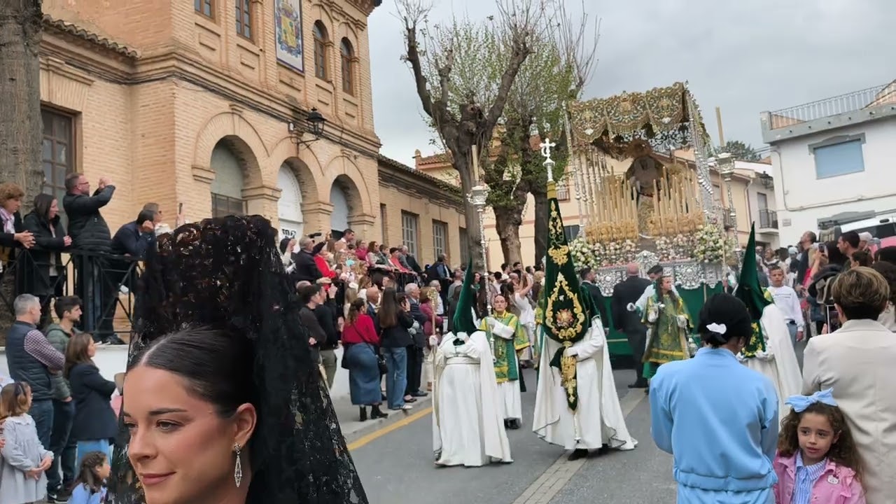 Domingo de Ramos  Hermandad de la Borriquilla de Padul 08