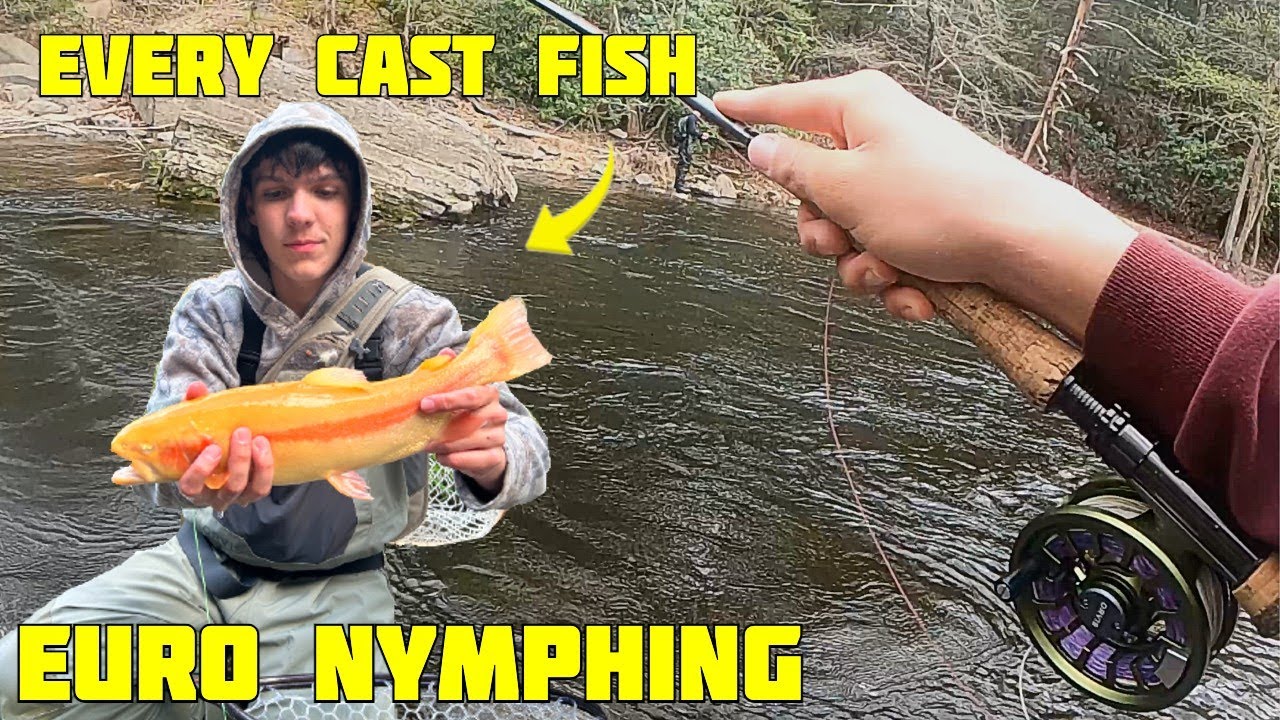 NON-STOP ACTION Fly Fishing the Poconos!! Euro Nymphing Pennsylvania (Hydros II Review)