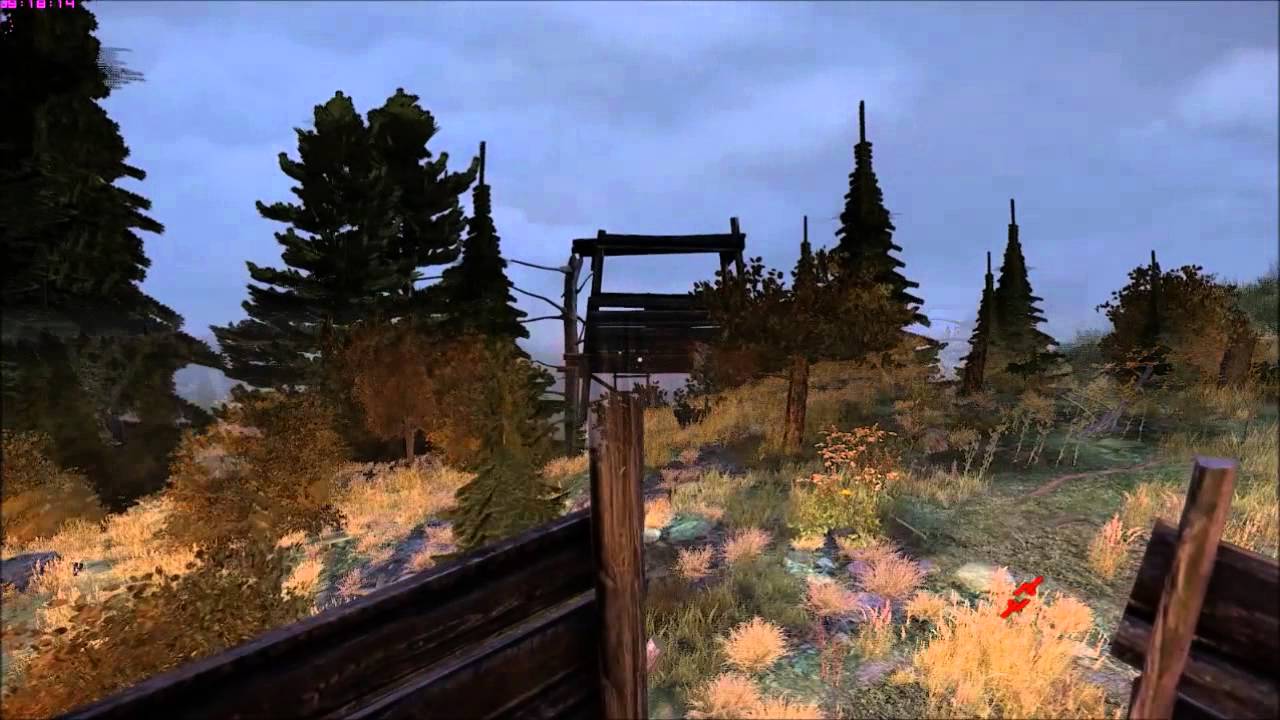 Dayz 