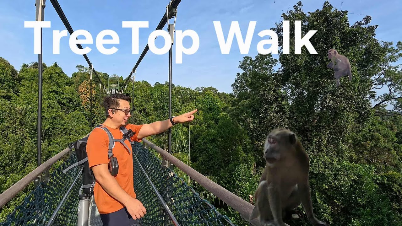 Long Hike to Treetop Walk | Singapore