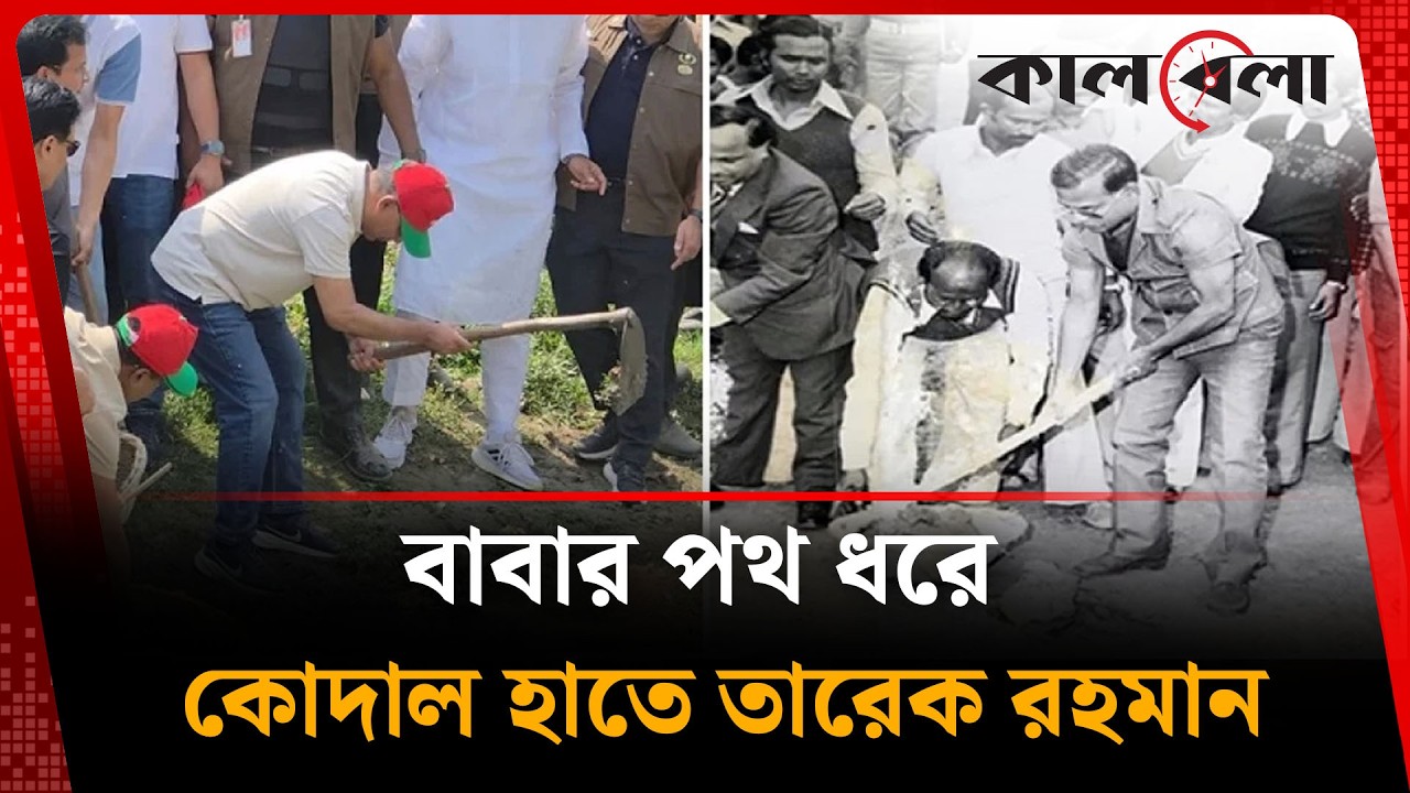 বাবার পথ ধরে কোদাল হাতে তারেক রহমান | Tarique Rahman | Kalbela News